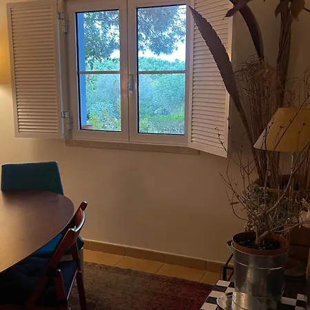 Casa V3 *
